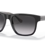 Emporio Armani - EA4163