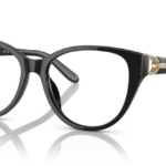 Ralph Lauren - RL6234BU