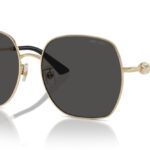 Jimmy Choo - JC4008HD