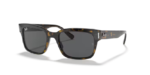 Ray Ban - RB2190