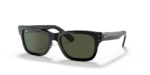 Ray Ban - RB2283